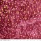 Fabric Riley Blake Red Plum Ombre Expressions Batiks by the Quarter Yard BT23028-217